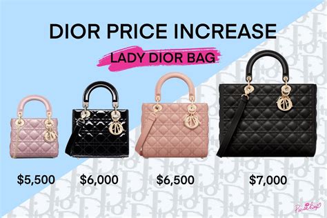 dior bag france price|how expensive is Dior.